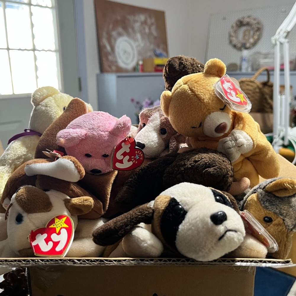 Ty Beanie Collection (11 with heart tags ♥️)